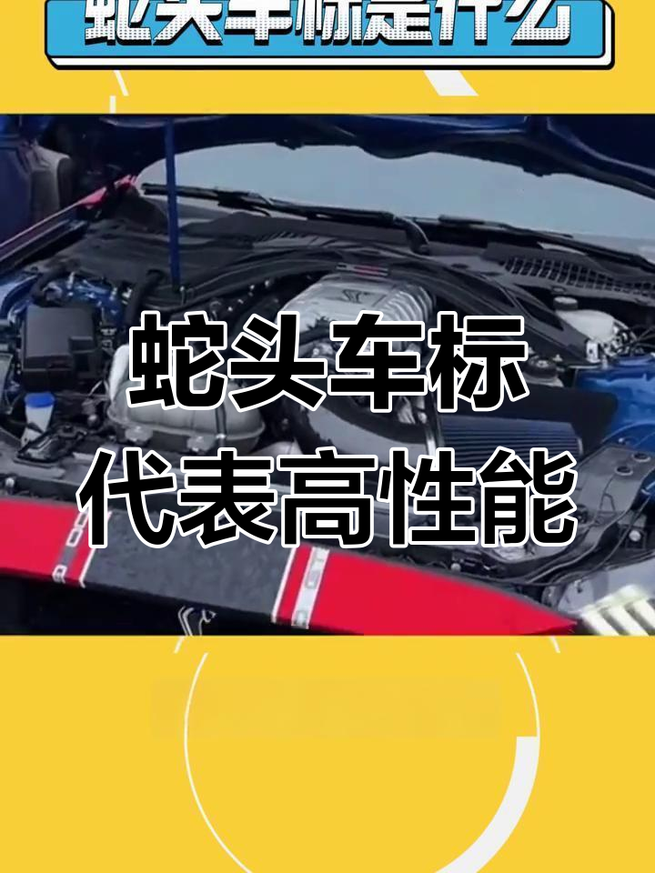 蛇头车标背后的神秘力量:谢尔比GT500解析