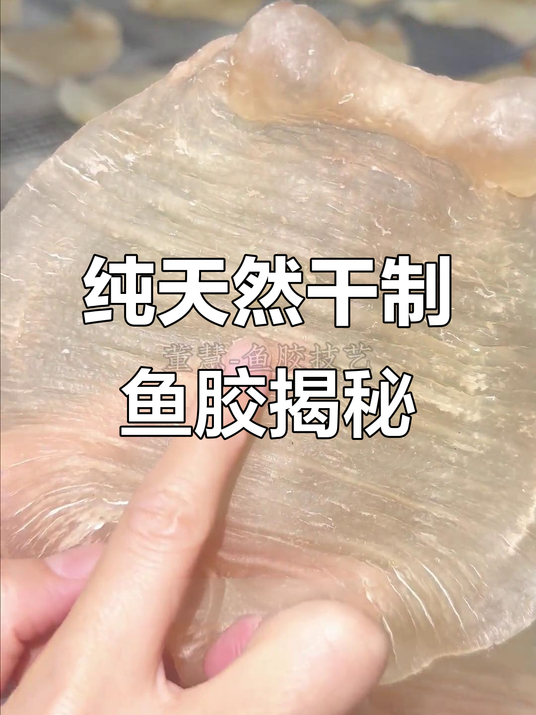 天然干制赤嘴鳘鱼胶的独特魅力，手工技艺与自然风味的完美结合