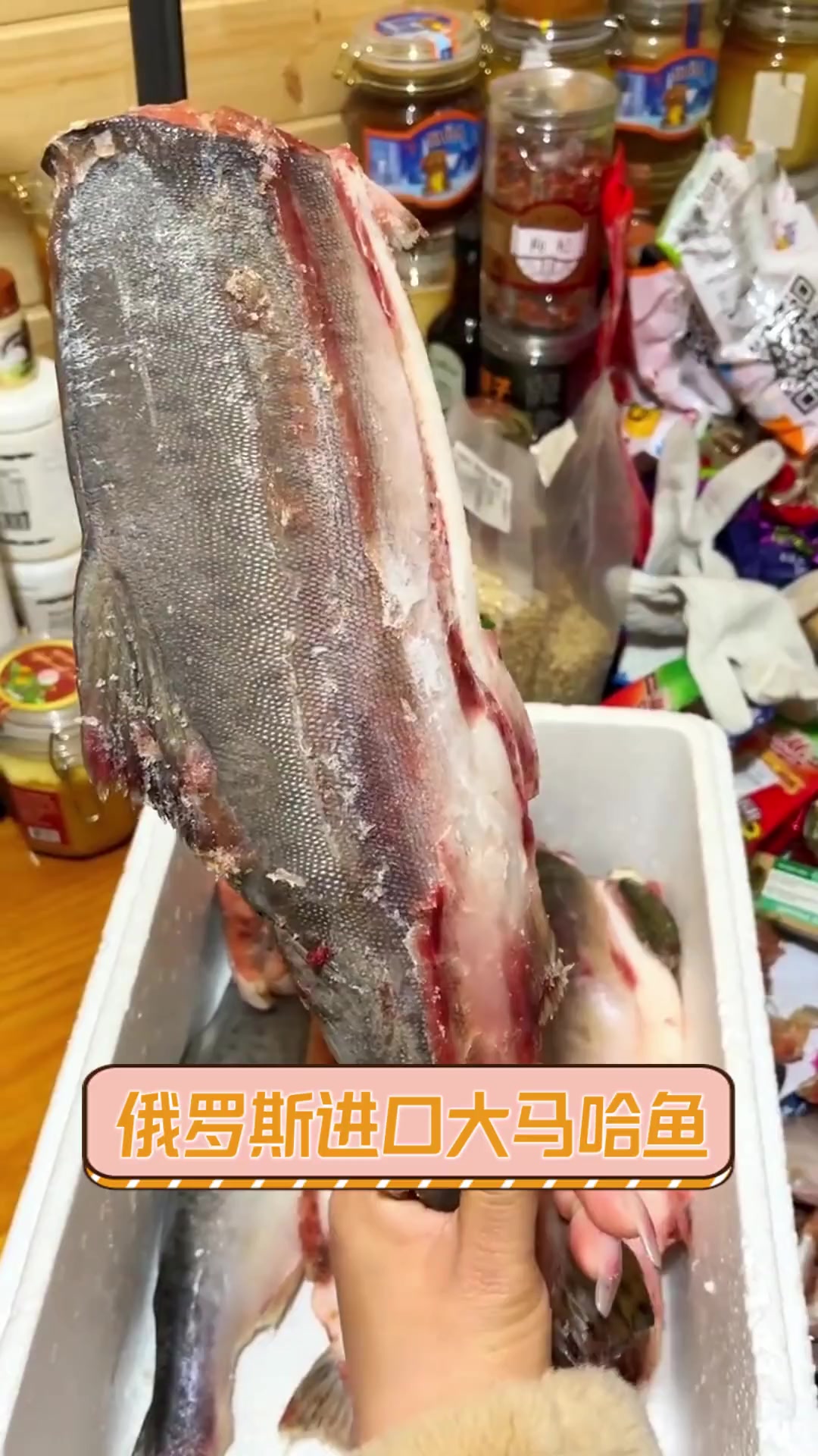 俄罗斯进口大马哈鱼