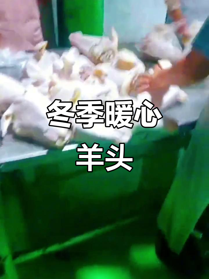寒冷的季节,麻辣羊头炖煮,香气扑鼻,肉质鲜嫩,回味无穷!