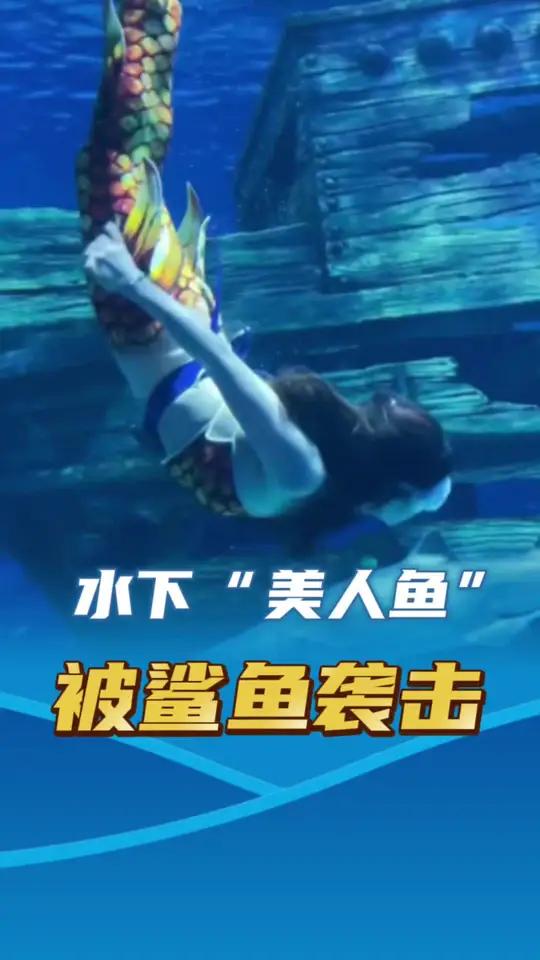 “美人鱼”水下训练被鲨鱼袭击咬伤致十级伤残