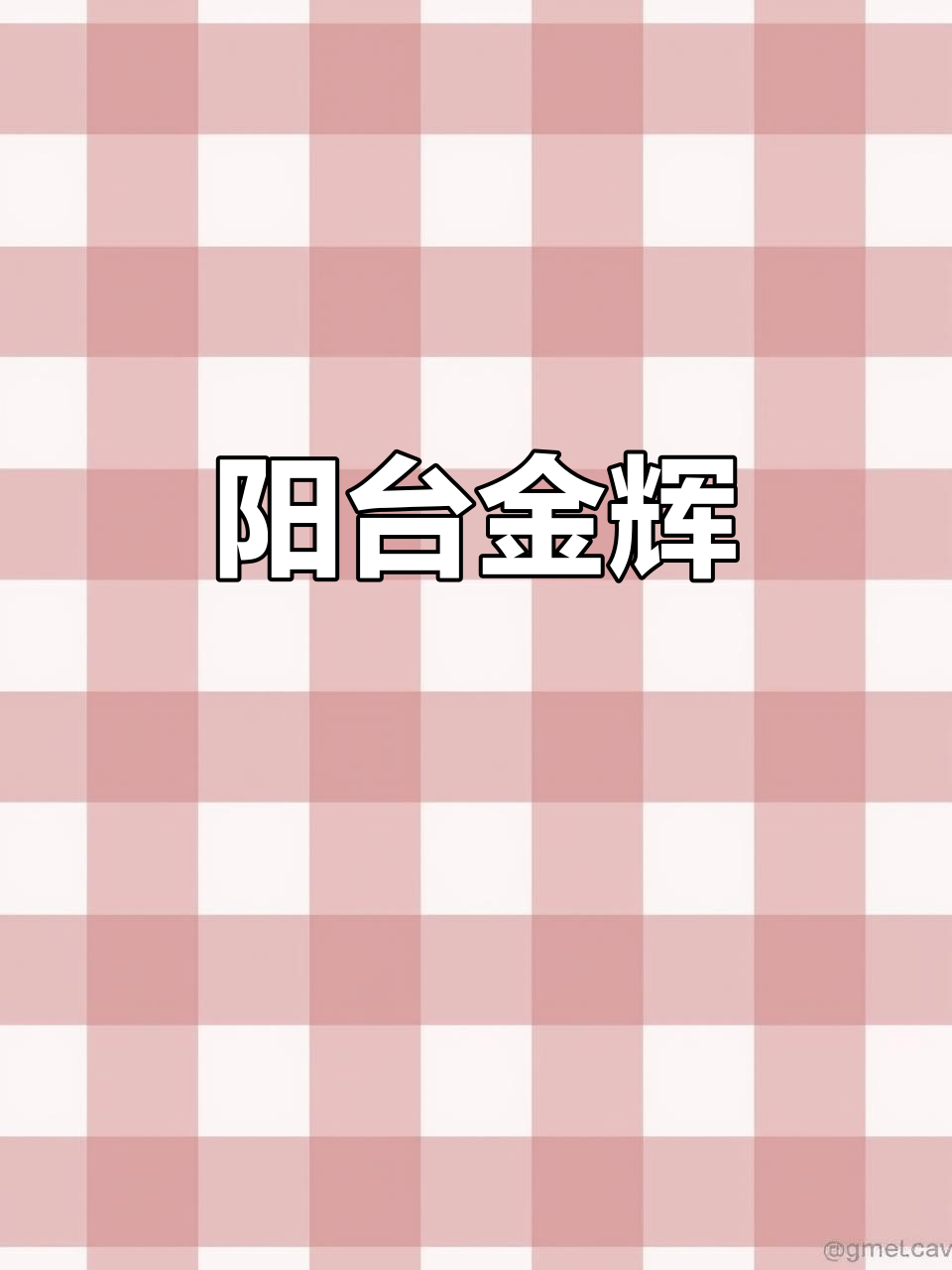 金辉多肉，阳台必备，金黄叶片如紫荆花般美丽