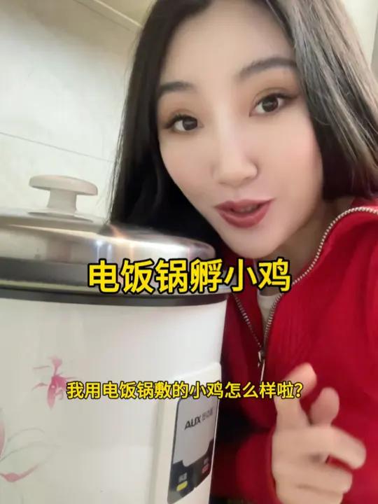 用电饭锅孵小鸡-我看到小鸡的嘴啦!孵小鸡 人工孵化 孵蛋 小鸡 vlog日常