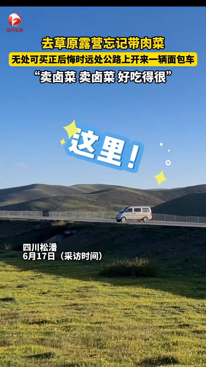 去草原露营忘记带肉菜，正后悔时开来一辆卖卤菜的面包车