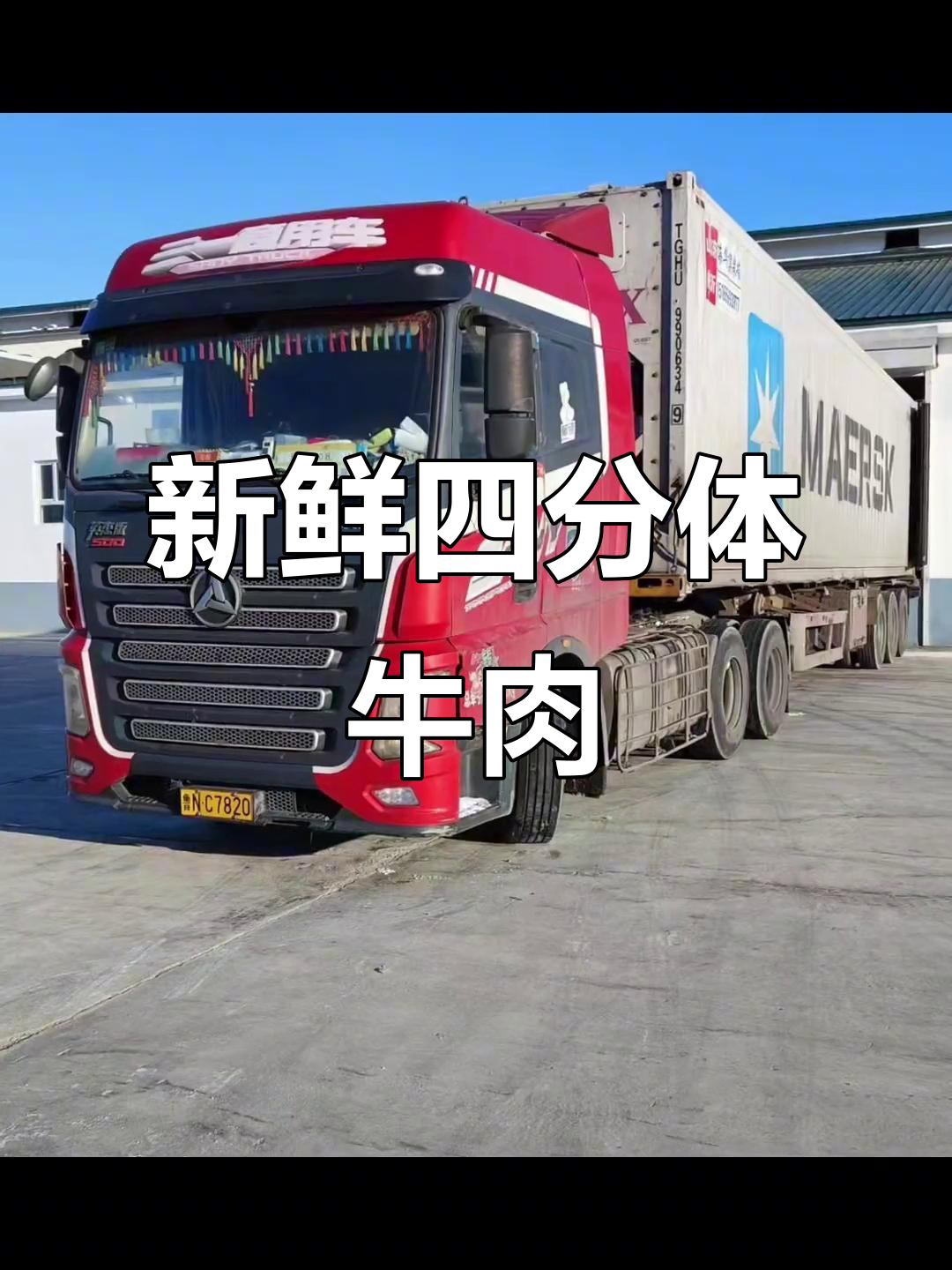 四分体牛肉出库,新鲜美味一触即发