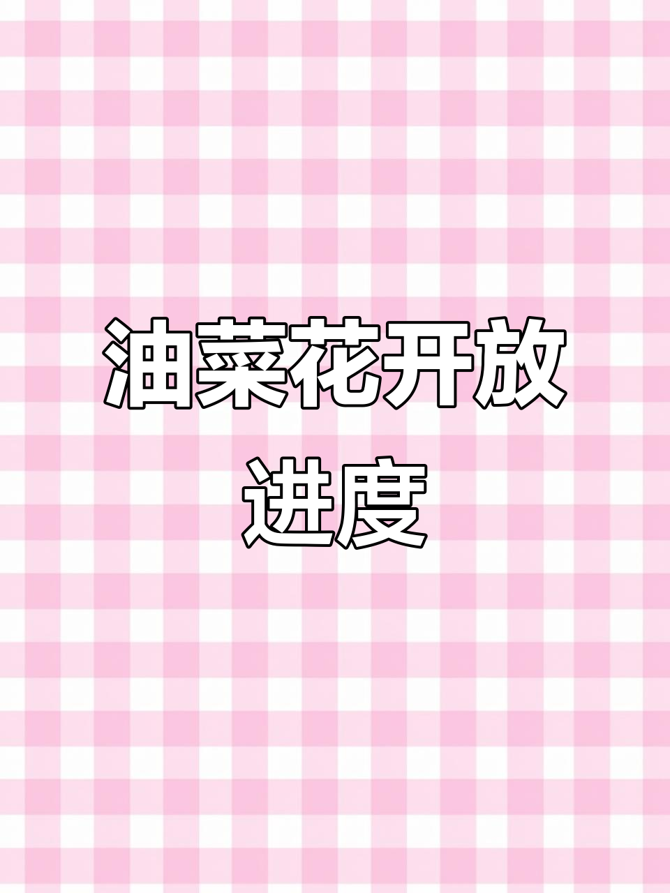 2026年3月14日:兴化千垛油菜花南半部已开北面待放