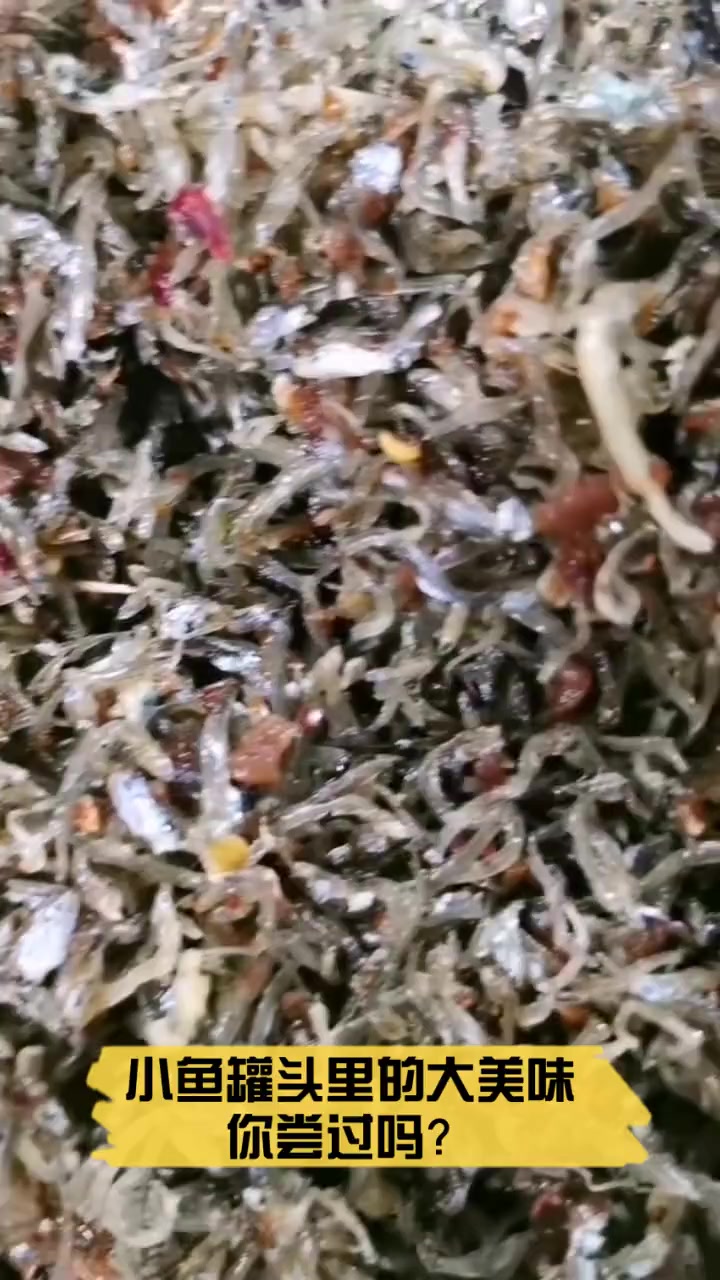 小鱼罐头里的大美味,你尝过吗?