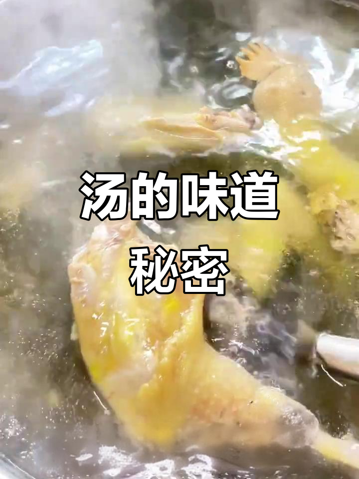 厨师的汤,种类繁多,每道菜背后都有独特的味道与故事