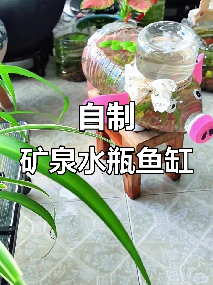 矿泉水桶变生态鱼缸，DIY打造猪小妹款装饰
