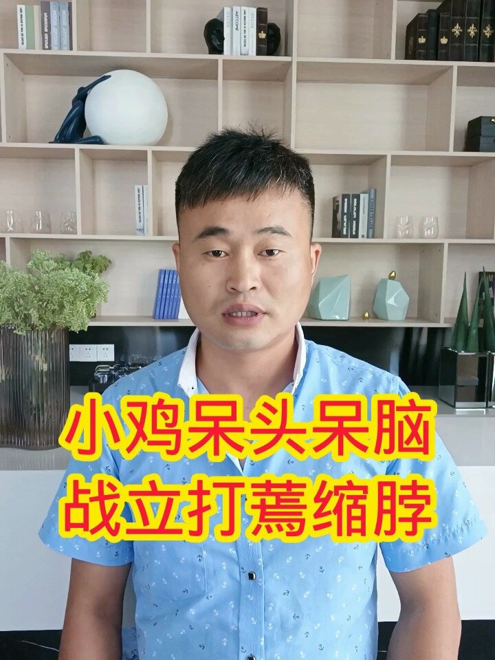 小鸡呆头呆脑 缩脖子