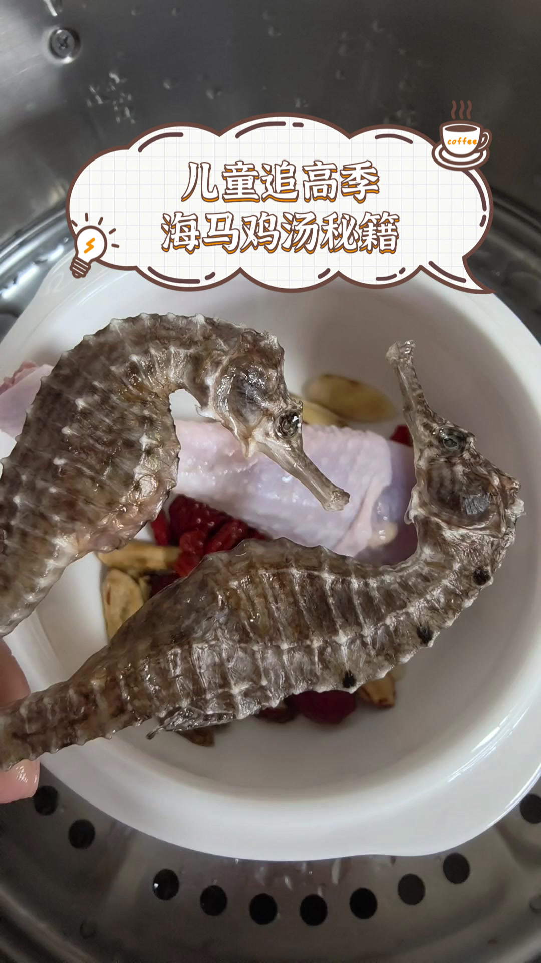 儿童追高季,海马鸡汤秘籍