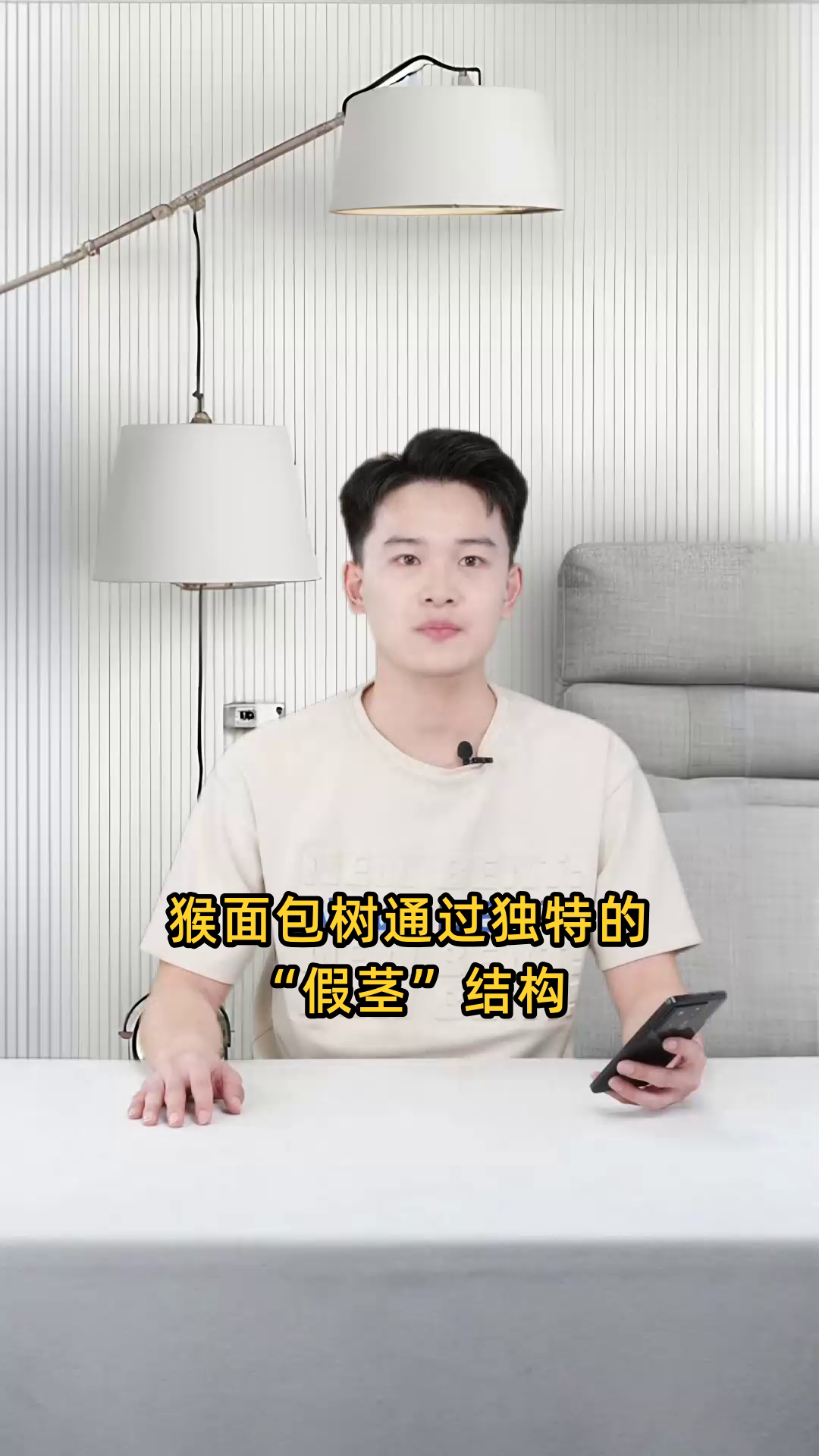 猴面包树在哪个部位储存水分以满足其干旱环境的生存需求?