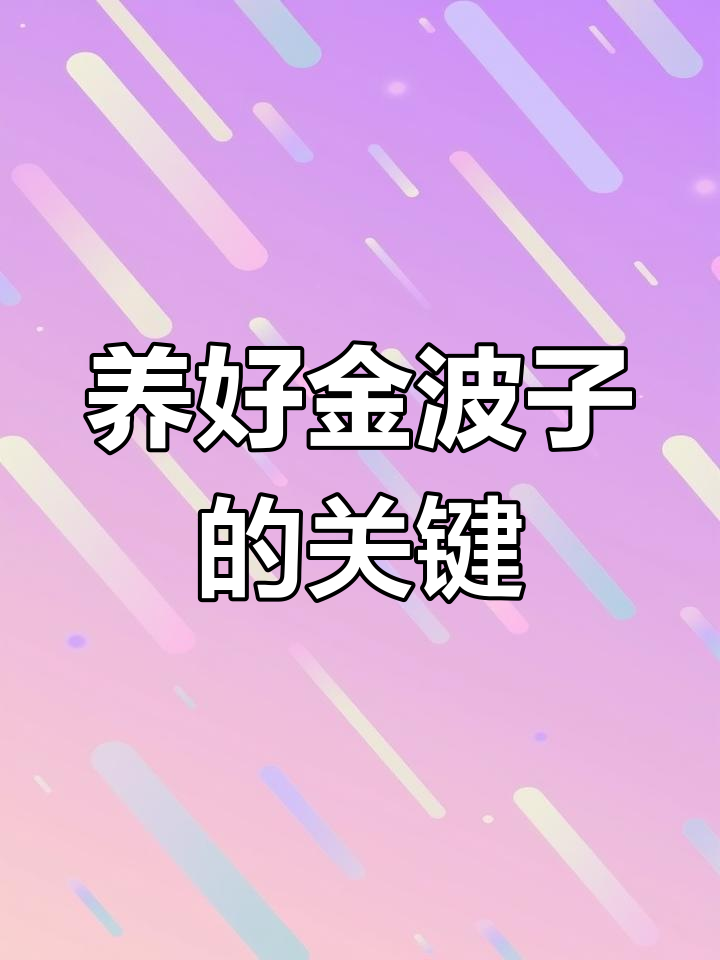 金波子养殖技巧:水质、水温、喂食全攻略