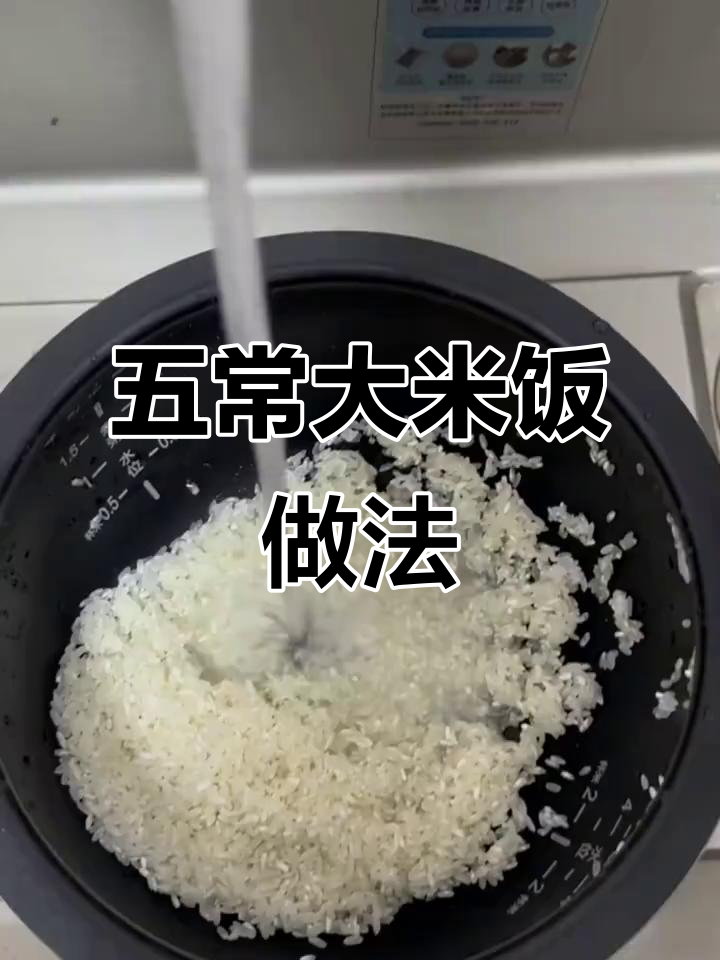 五常大米焖饭技巧,洗米两遍,米饭软糯香甜不回生