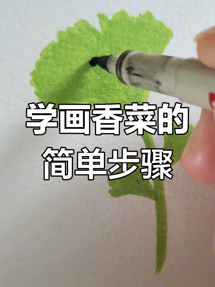 亲子一起学画香菜,轻松掌握丙烯马克笔技巧