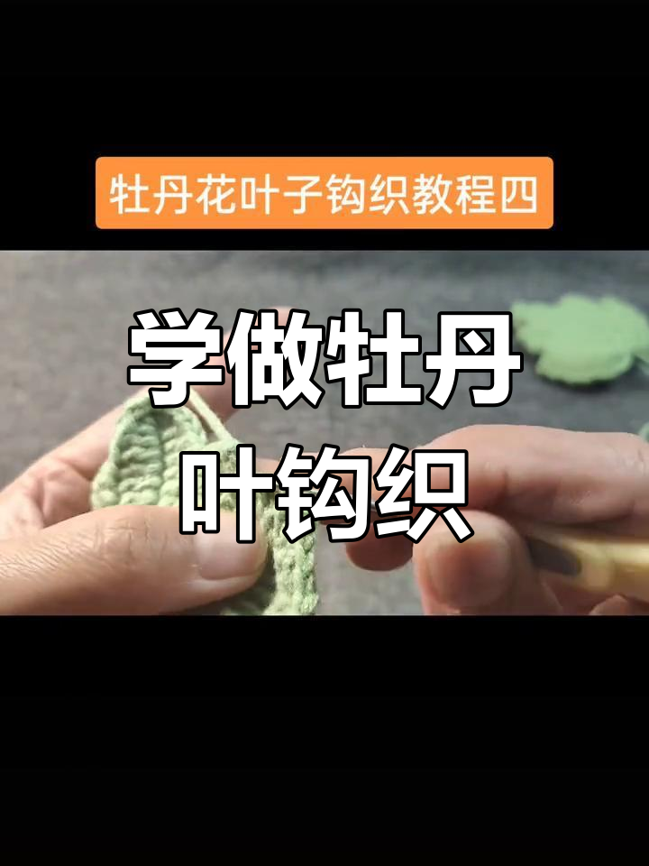 牡丹花叶子钩织教程,轻松学会永生花的制作