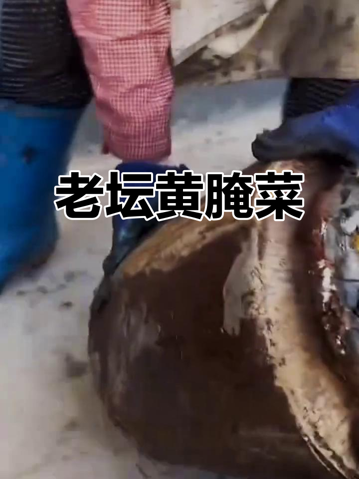 农村老坛酸菜的秘密,黄色腌菜你尝过吗?