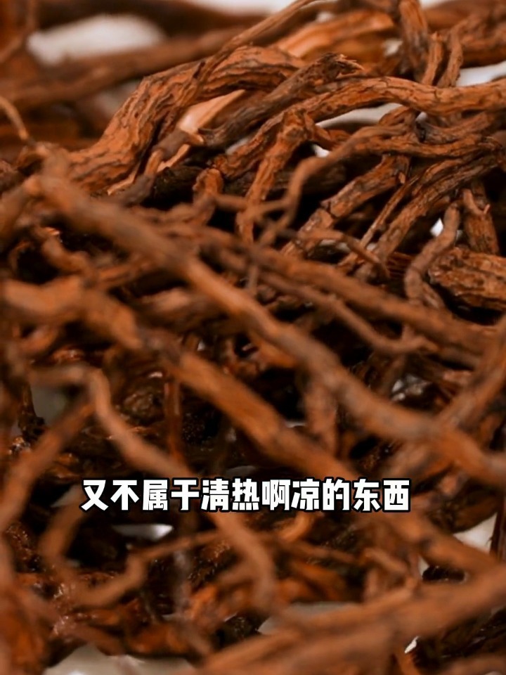 胡椒根煲猪小肚,驱寒暖胃