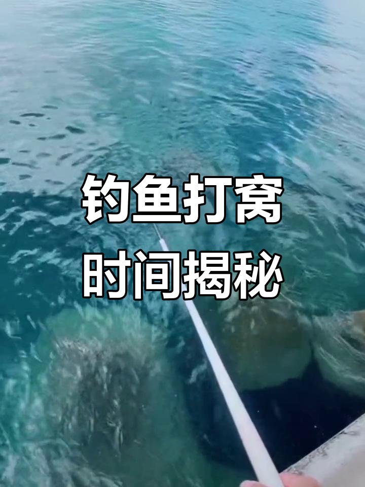 野钓鲫鱼打窝技巧,提前一小时效果更佳