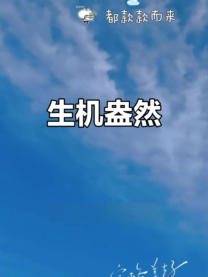 荷塘新绿,黑天鹅优雅游弋,时光流转中生命悄然绽放