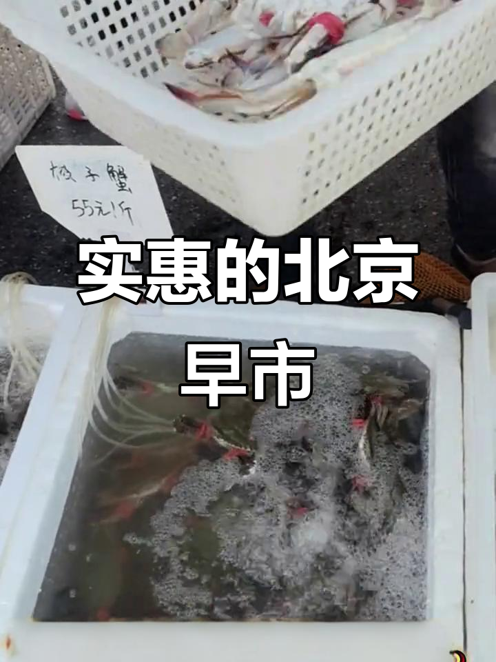 北京郊区菜市,物价亲民,水果蔬菜新鲜又便宜!