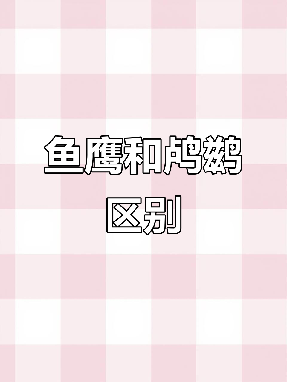 鱼鹰与鸬鹚的区别:如何分辨猎物动向