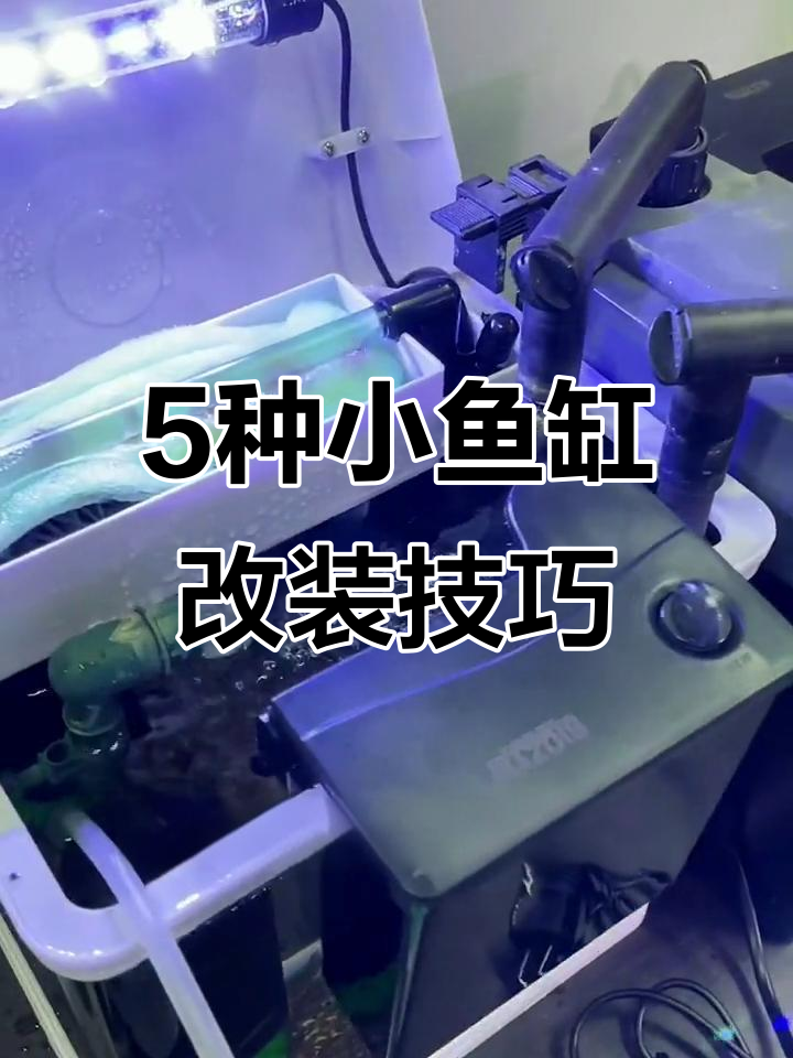 小鱼缸改造五种方法,轻松提升水质与空间