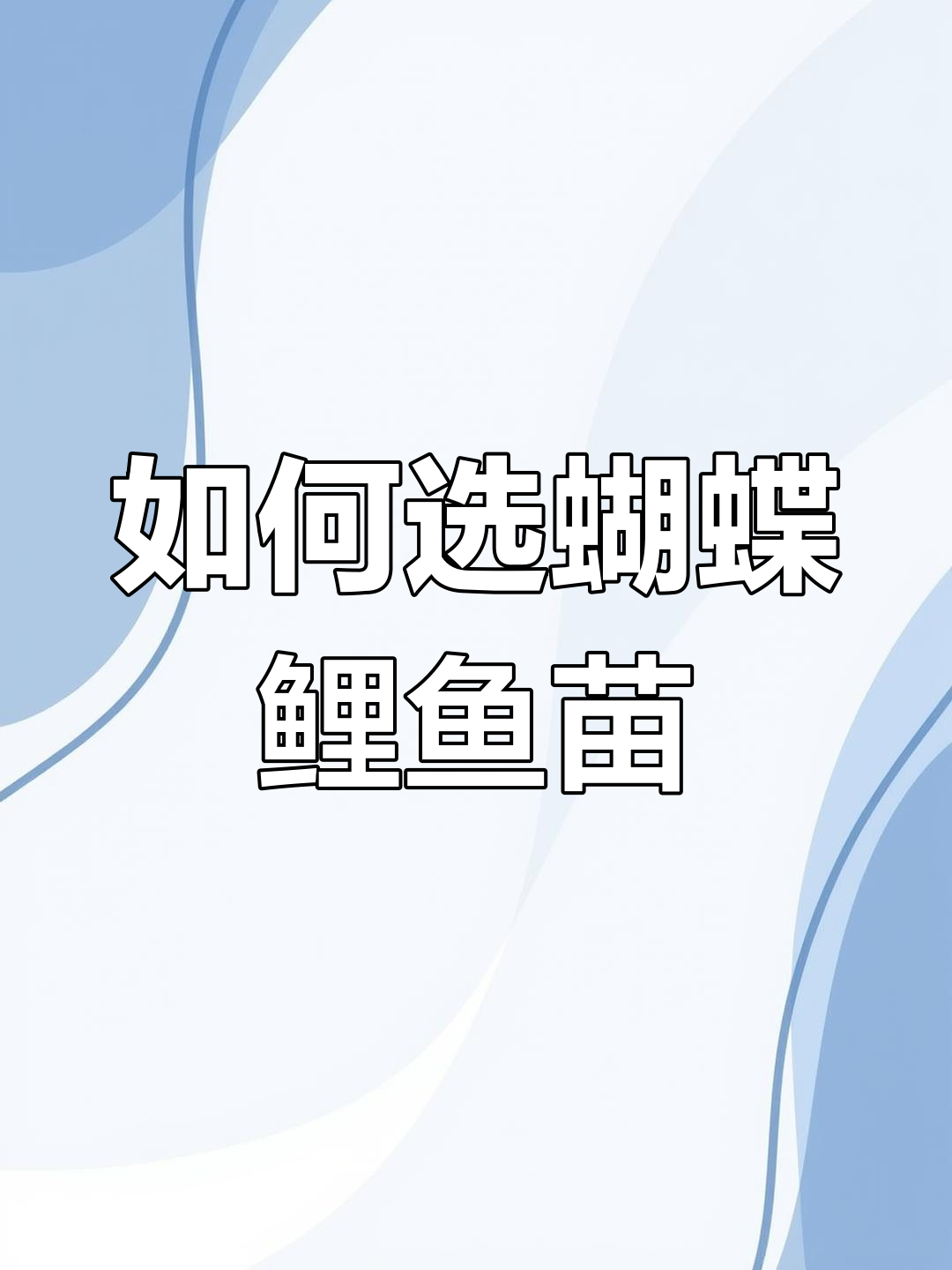 蝴蝶鲤鱼苗挑选技巧,如何辨别高背与品相变化