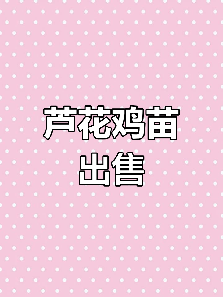大连出售芦花鸡苗,搭建简易鸡舍