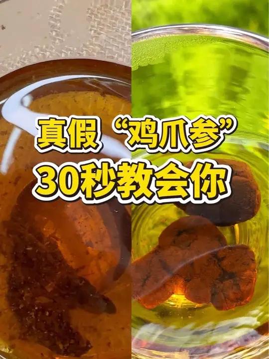 网上关注的人太多，购物车里反复筛选，教你30秒买到道地正宗“鸡爪参”。#功效与作用#九晒#
