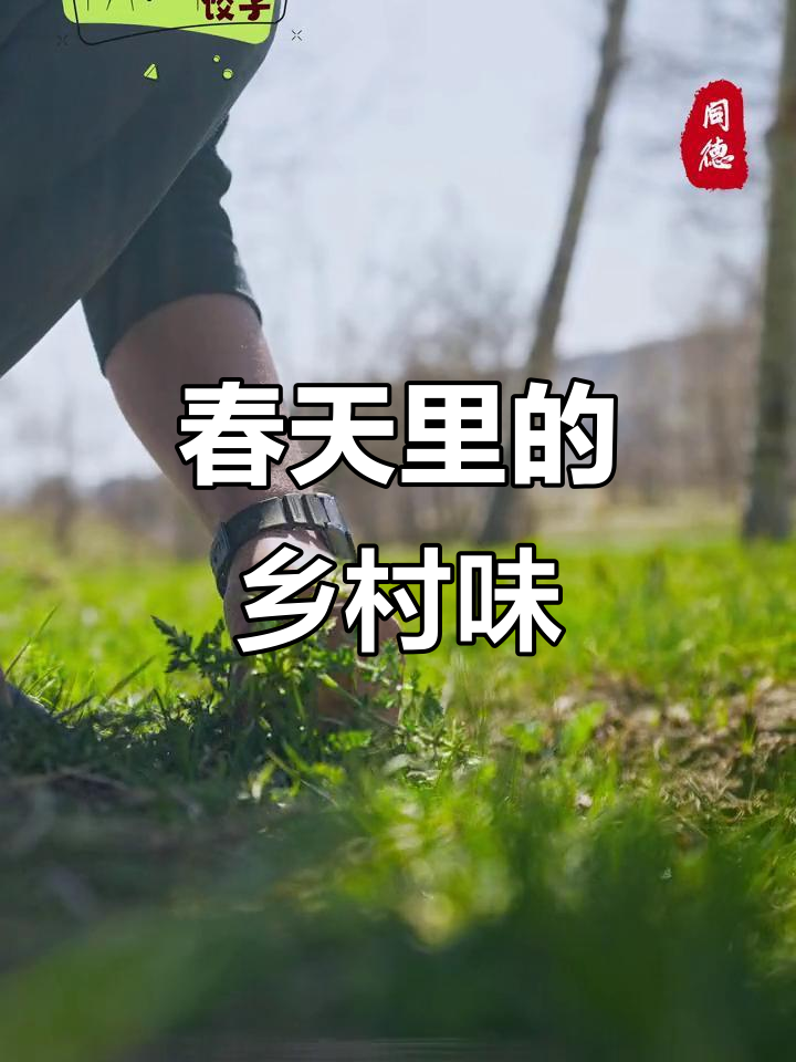 春天的田野味道,带你领略乡村美食的魅力