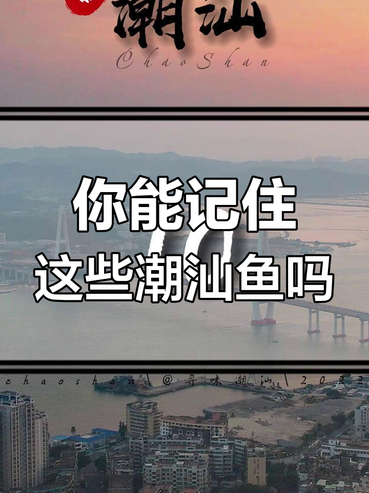 潮汕鱼名大揭秘,你能叫对几个?