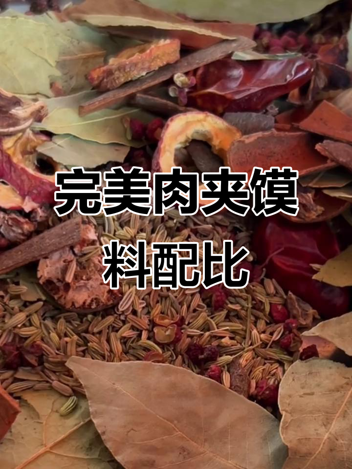 肉夹馍料配方大揭秘,二十斤高汤用量全解析