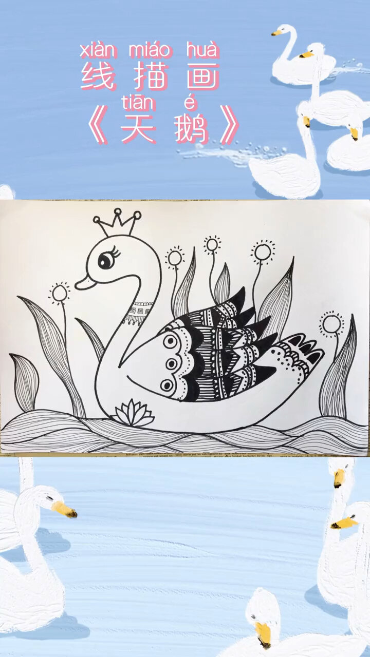 线描画《天鹅》