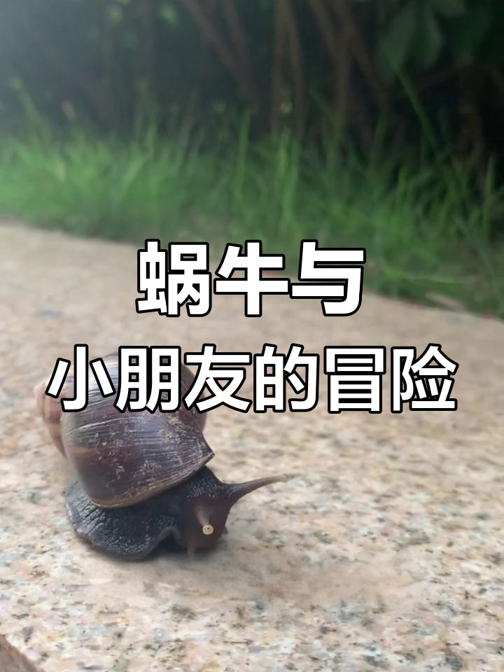 小朋友和蜗牛一起探索奇妙动物世界,勇敢跳水挑战