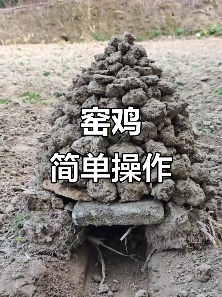 窑鸡制作不难?看我怎么轻松搞定!