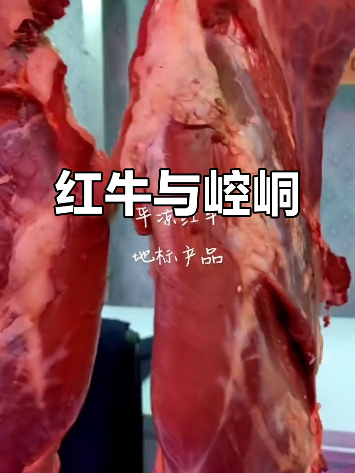 平凉红牛,崆峒山珍品,高端食材的代表
