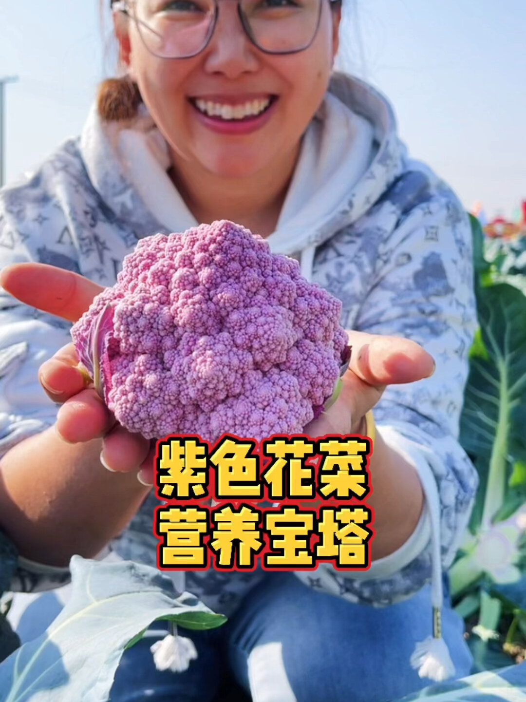 紫色花菜