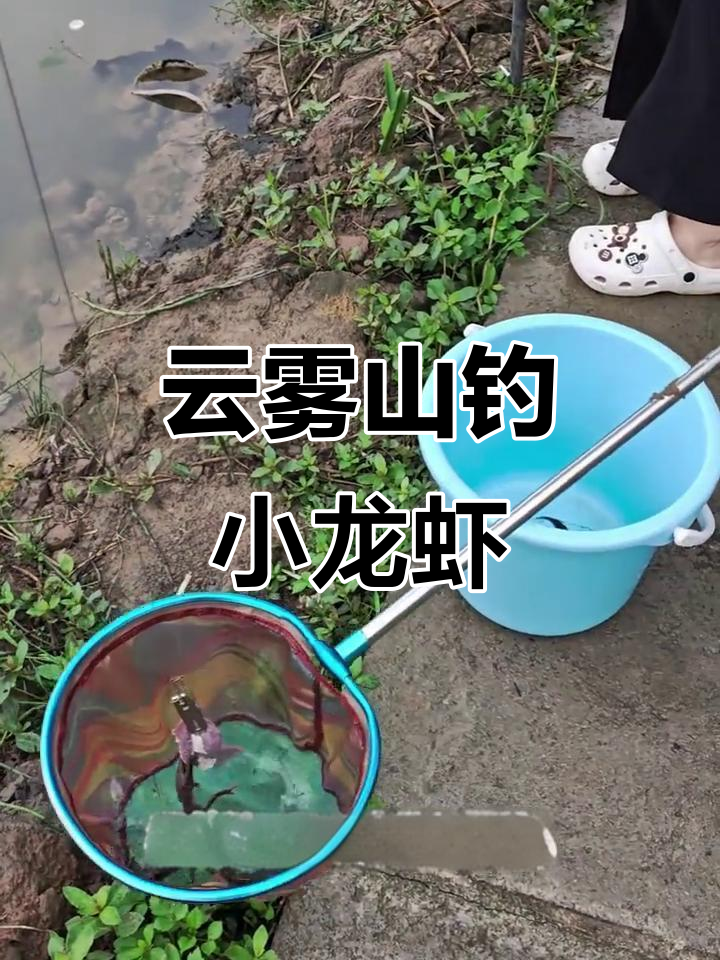 重庆云雾山钓虾基地，亲子游新体验！