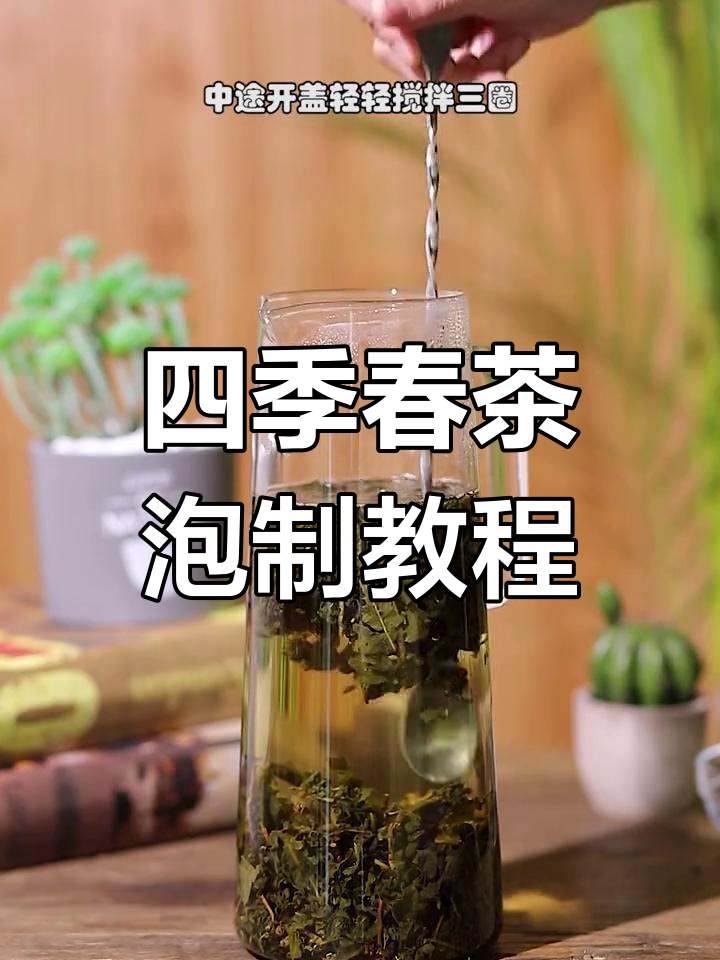四季春茶商用泡法,清爽果茶制作技巧