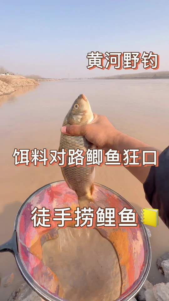 黄河冬天钓鱼用对饵料可爆护，沃鼎王者神剑三代等饵料聚鱼多