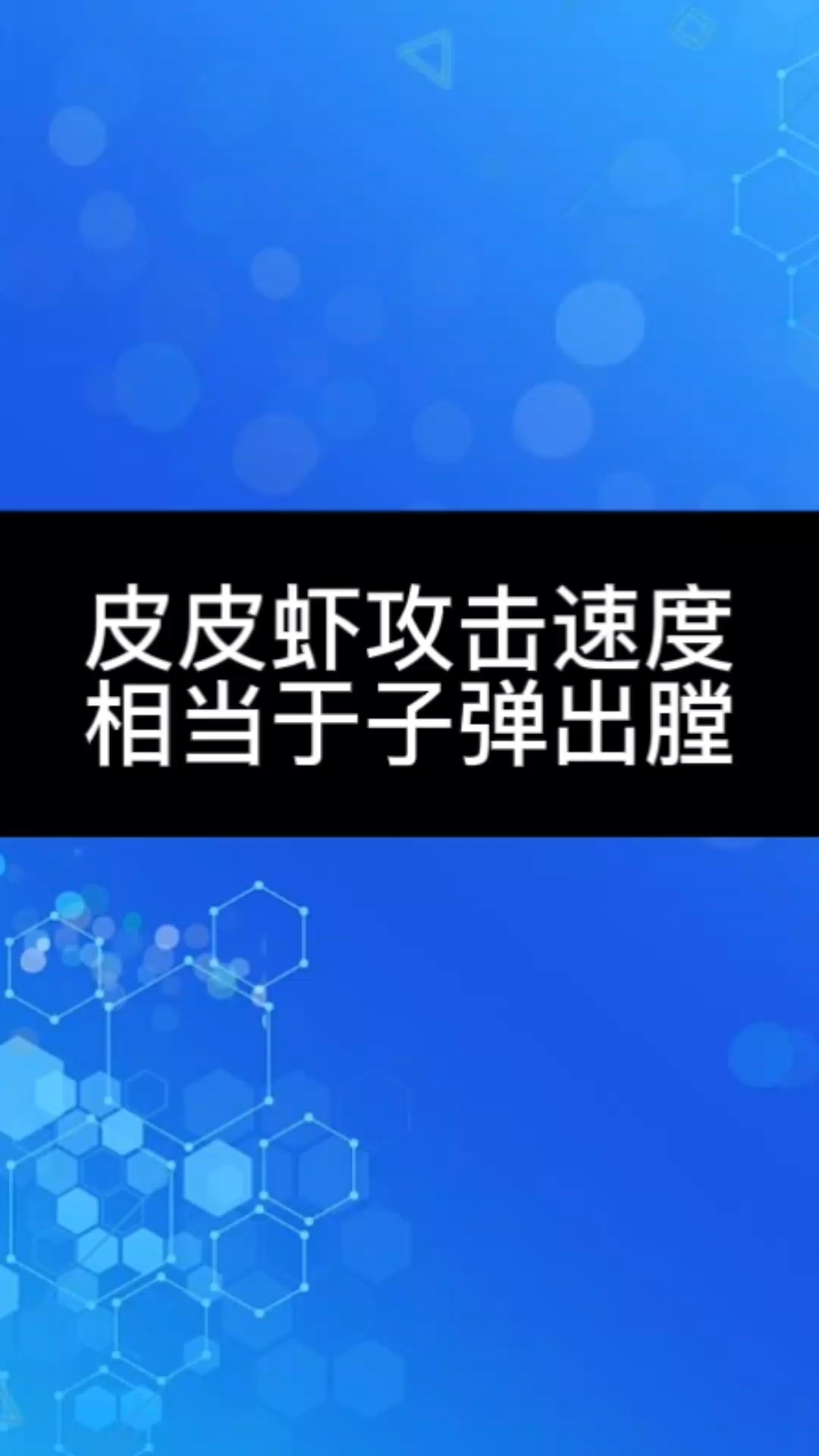 皮皮虾攻击速度相当于子弹出膛