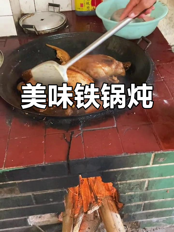 酱油鹅与马岗鹅,铁锅炖煮,香气扑鼻,味道绝佳!