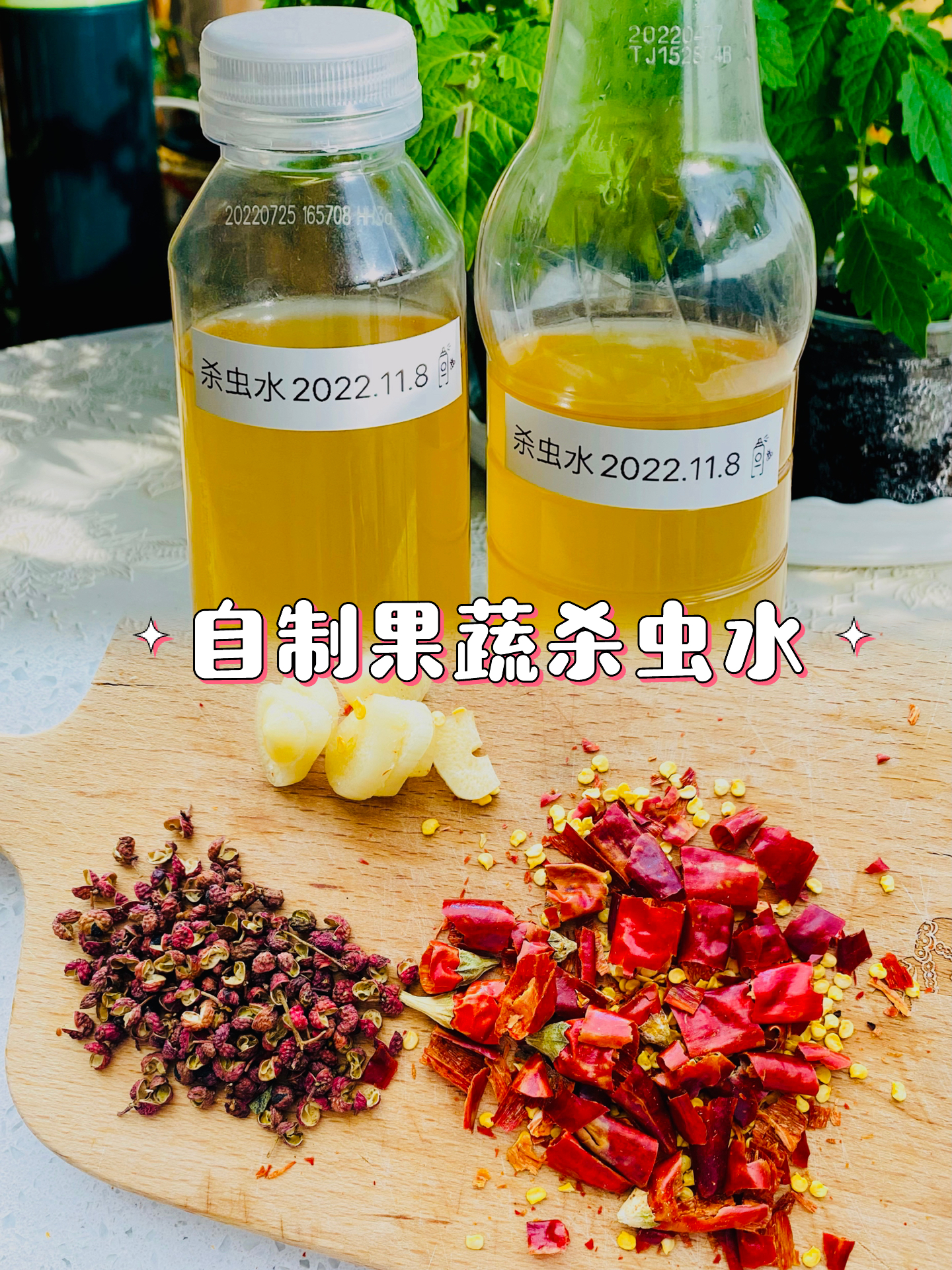 阳台种菜防虫害|自制果蔬杀虫水