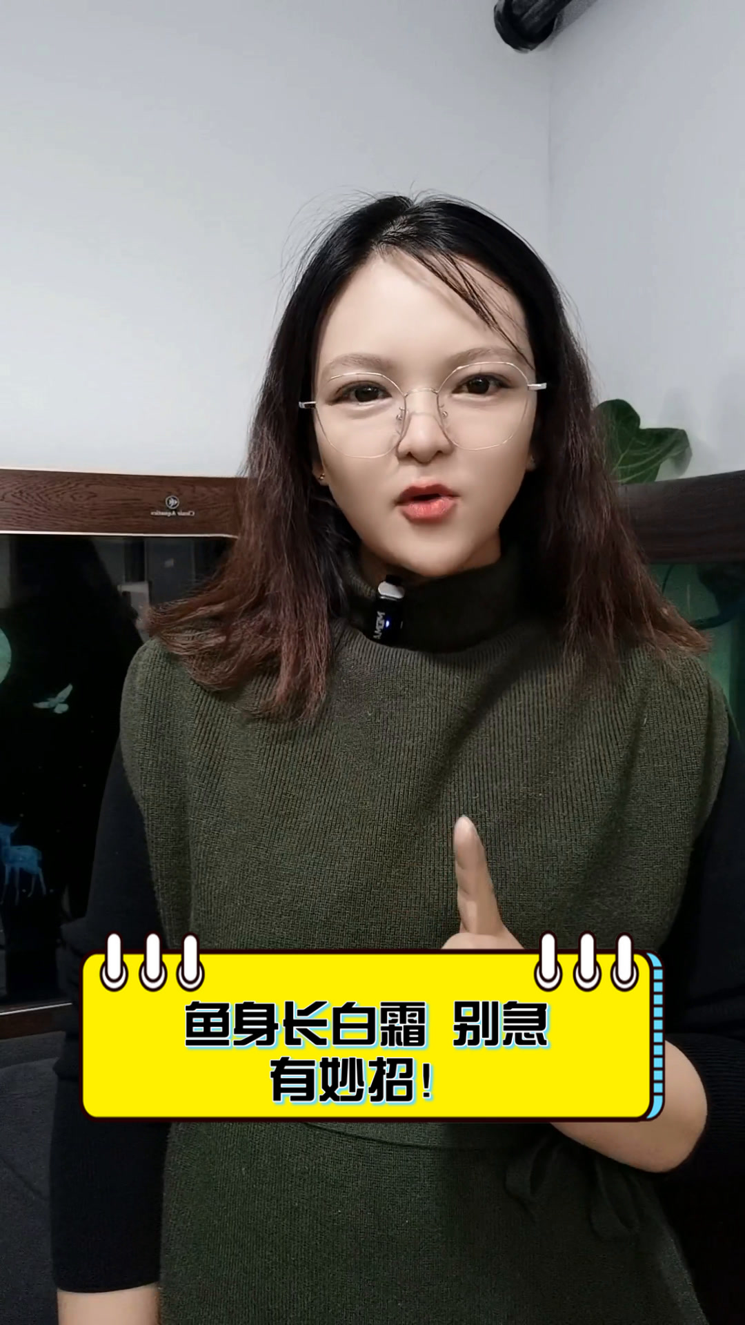 鱼身长白霜,别急,有妙招!