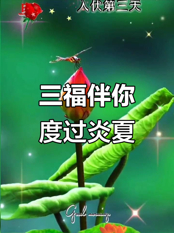七月入伏，三福送君！健康、平安与知足是最大的幸福