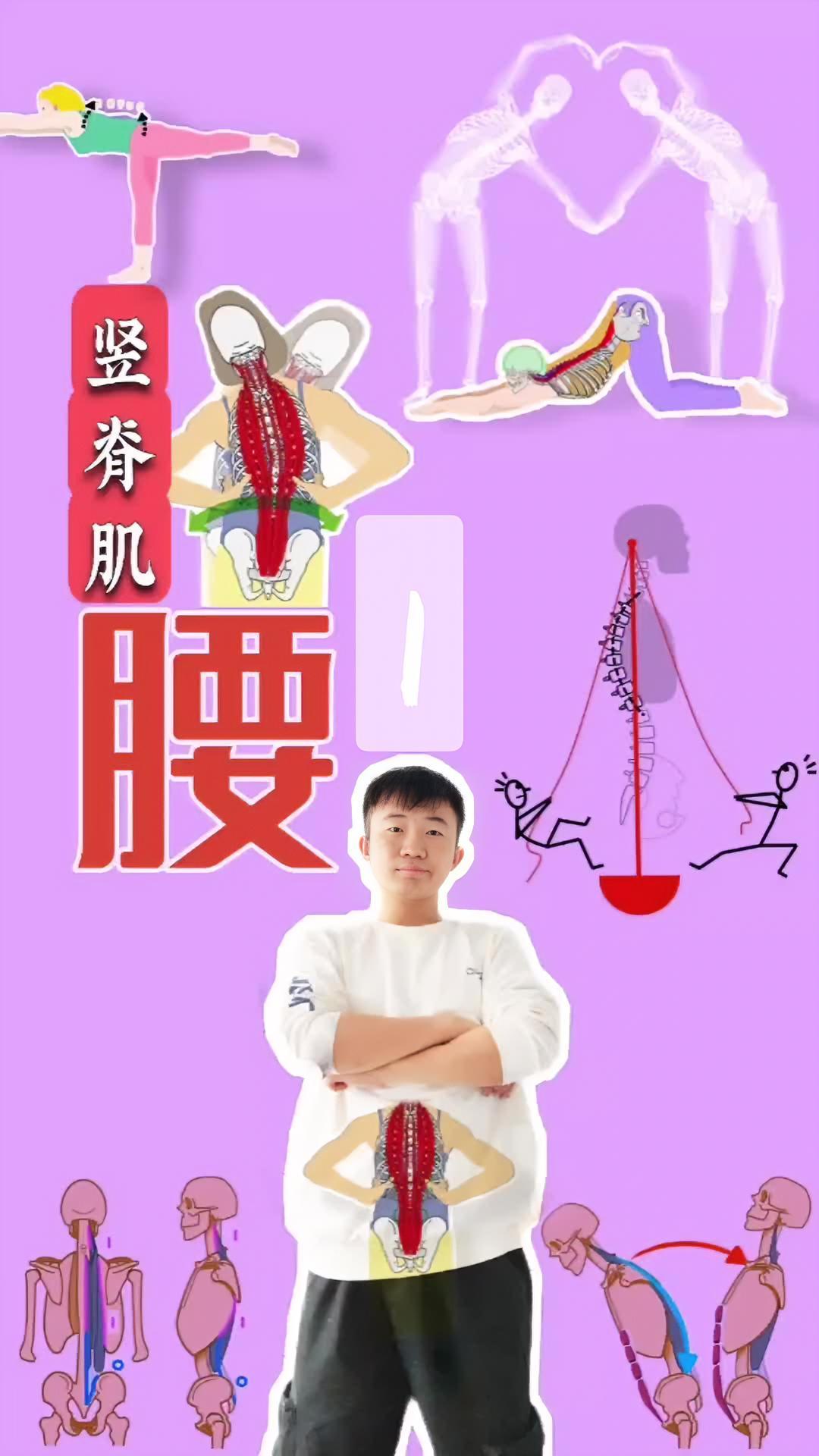 你腰痛吗?运动解剖 运动康复 体态纠正 体态调整 肌肉
