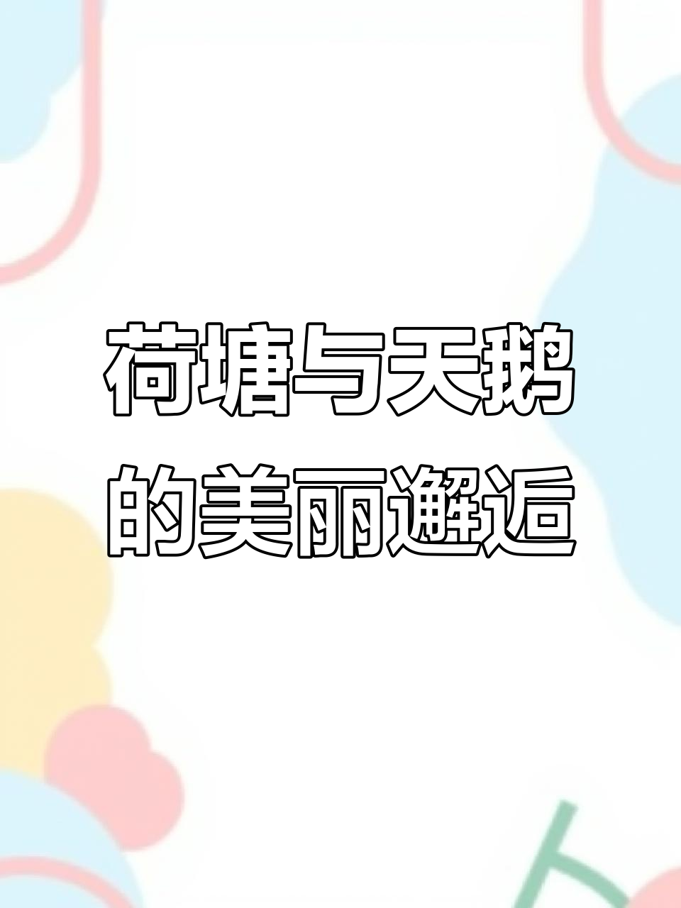 河南荷花盛开,天鹅湖美景尽收眼底