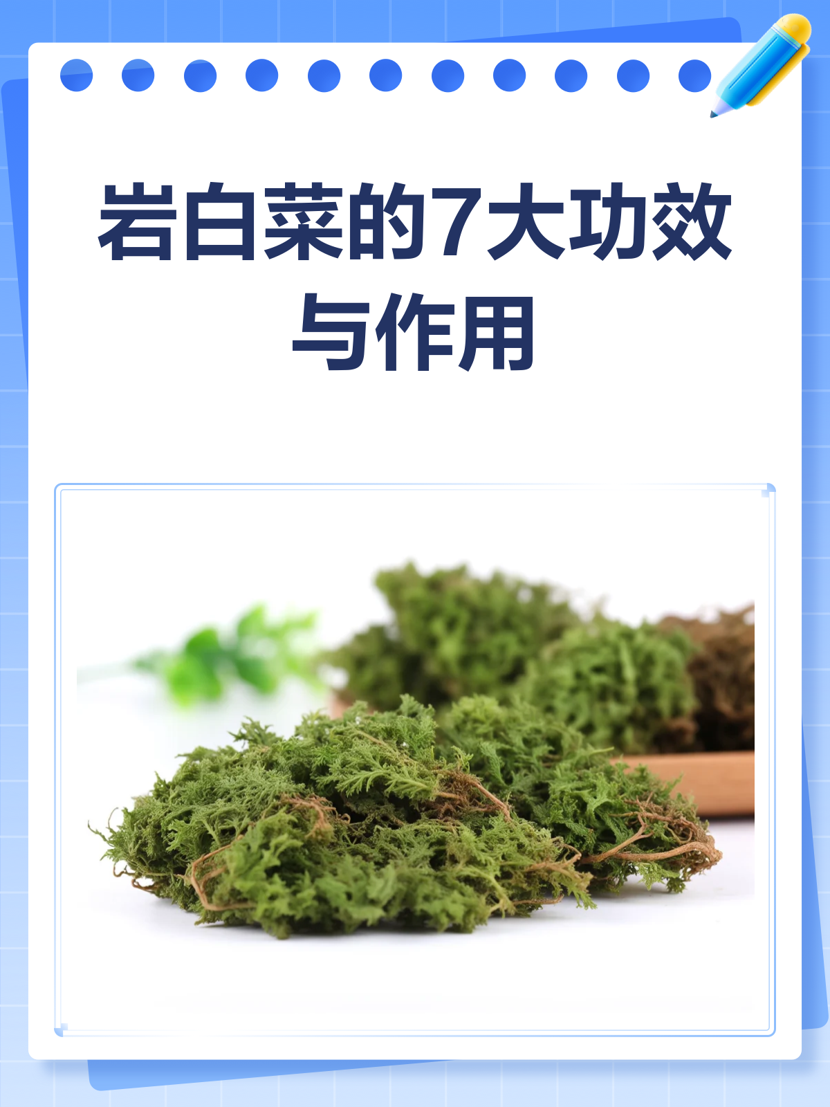 岩白菜:功效多多,但别乱吃哦!