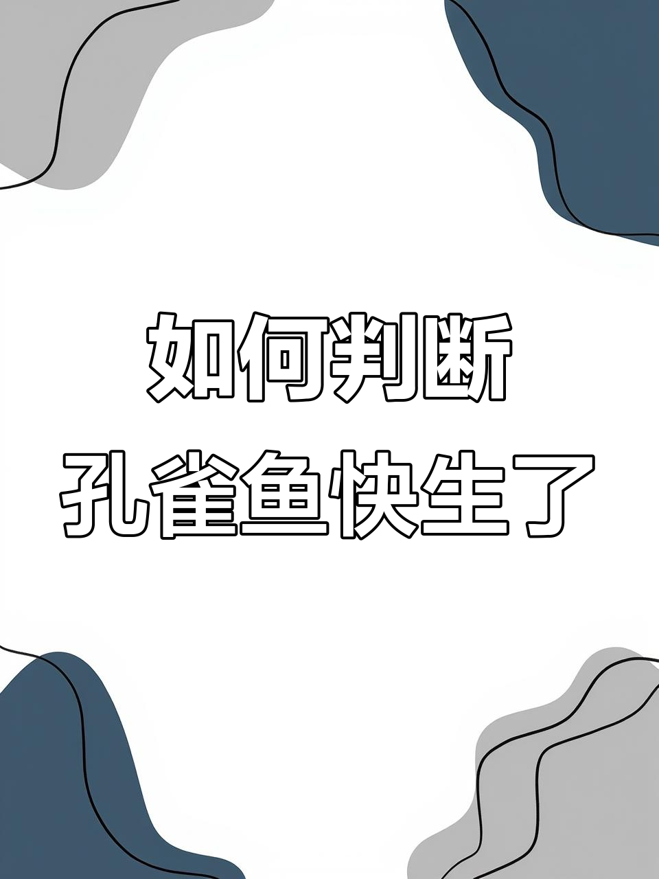 孔雀鱼临产征兆与第一胎分辨技巧